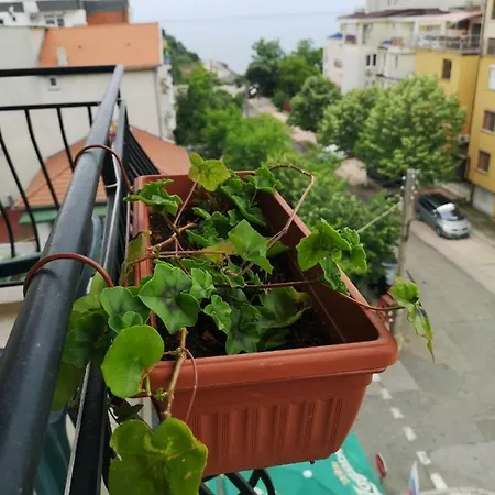 Kovachevi House * Primorsko